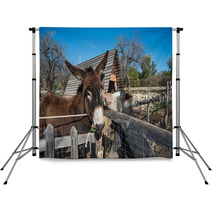 Donkey On A Farm
 Backdrops 99708453