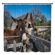 Donkey On A Farm
 Bath Decor 99708453