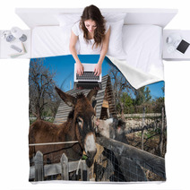 Donkey On A Farm
 Blankets 99708453