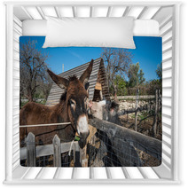 Donkey On A Farm
 Nursery Decor 99708453