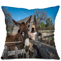 Donkey On A Farm
 Pillows 99708453
