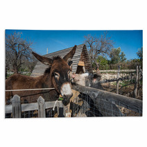 Donkey On A Farm
 Rugs 99708453