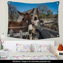 Donkey On A Farm
 Wall Art 99708453