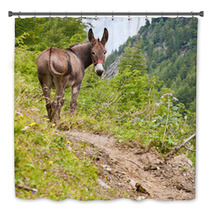Donkey On Italian Alps Bath Decor 94750800