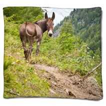 Donkey On Italian Alps Blankets 94750800