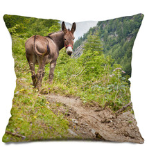 Donkey On Italian Alps Pillows 94750800
