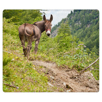 Donkey On Italian Alps Rugs 94750800