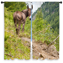 Donkey On Italian Alps Window Curtains 94750800