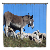 Donkey Out To Pasture With A Herd Of Sheep Bath Decor 79217408