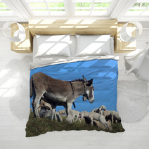 Donkey Out To Pasture With A Herd Of Sheep Bedding 79217408