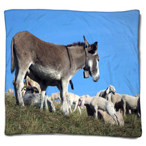 Donkey Out To Pasture With A Herd Of Sheep Blankets 79217408