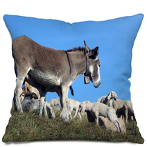 Donkey Out To Pasture With A Herd Of Sheep Pillows 79217408