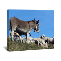 Donkey Out To Pasture With A Herd Of Sheep Wall Art 79217408