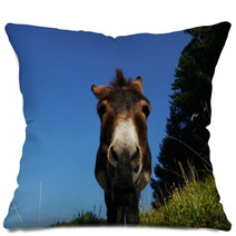 Donkey Pillows 93331268