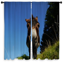 Donkey Window Curtains 93331268