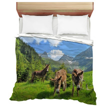 Donkeys Close Up Portrait - On The High Mountains Bedding 66769290