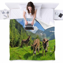 Donkeys Close Up Portrait - On The High Mountains Blankets 66769290