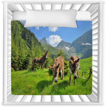 Donkeys Close Up Portrait - On The High Mountains Nursery Decor 66769290