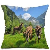 Donkeys Close Up Portrait - On The High Mountains Pillows 66769290