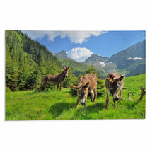 Donkeys Close Up Portrait - On The High Mountains Rugs 66769290