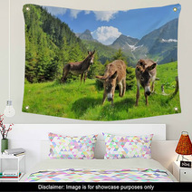 Donkeys Close Up Portrait - On The High Mountains Wall Art 66769290