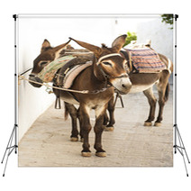 Donkeys In Lindos, Greece Backdrops 88477606