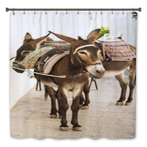 Donkeys In Lindos, Greece Bath Decor 88477606