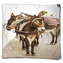 Donkeys In Lindos, Greece Blankets 88477606