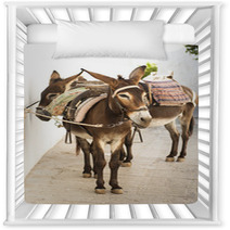 Donkeys In Lindos, Greece Nursery Decor 88477606