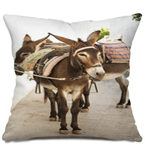 Donkeys In Lindos, Greece Pillows 88477606