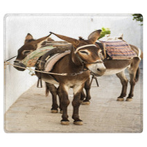 Donkeys In Lindos, Greece Rugs 88477606