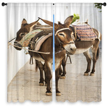 Donkeys In Lindos, Greece Window Curtains 88477606