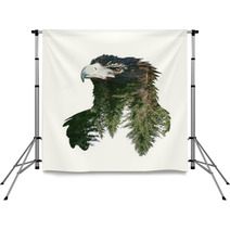Double Exposure Portraits Of Eagle And Tree Branch Backdrops 97009703