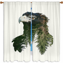 Double Exposure Portraits Of Eagle And Tree Branch Window Curtains 97009703