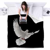Dove Flying Blankets 13157983