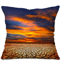 Drought Land Pillows 30318977