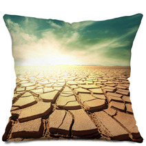 Drought Land Pillows 60917688