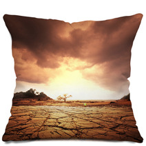 Drought Land Pillows 60917713