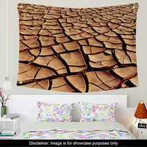 Dry And Cracked Earth Wall Art 47468779
