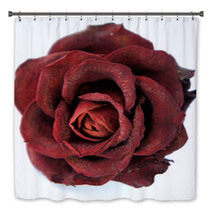 Dry Red Rose Bath Decor 47028171