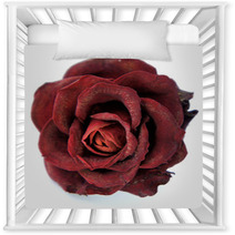 Dry Red Rose Nursery Decor 47028171