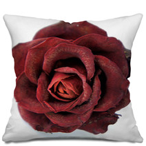 Dry Red Rose Pillows 47028171