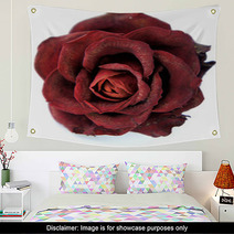 Dry Red Rose Wall Art 47028171