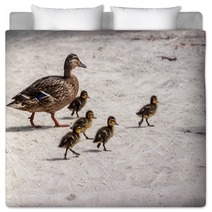 Duck And Five Ducklings Bedding 83127119