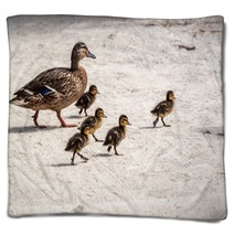 Duck And Five Ducklings Blankets 83127119