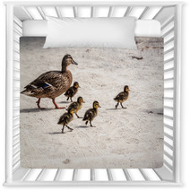 Duck And Five Ducklings Nursery Decor 83127119