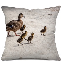 Duck And Five Ducklings Pillows 83127119