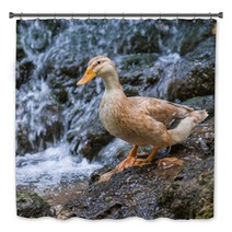 Duck Bath Decor 100986116