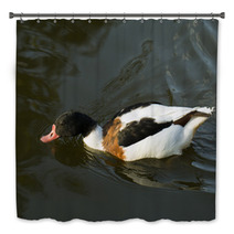 Duck In Water – Stock Image. Bath Decor 67410007