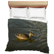 Duck In Water – Stock Image. Bedding 67409993